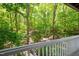 Scenic backyard view through trees, showing lush greenery and natural beauty at 101 Hunting Chase # 2B, Cary, NC 27513