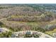 An aerial view of the home and foresty surroundings at 113 Bennett Mountain Trce, Chapel Hill, NC 27516