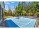 Private basketball court in backyard, offering a fun and active outdoor space at 113 Bennett Mountain Trce, Chapel Hill, NC 27516