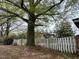 Fenced backyard with mature trees, offering privacy and shade at 121 W Young Ave, Henderson, NC 27536