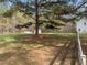 Large backyard features mature trees, grassy area, and outbuildings at 125 Camden Dr, Youngsville, NC 27596