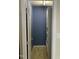 Carpeted walk-in closet with built-in storage and a view of a blue wall at 144 Gremar Dr, Holly Springs, NC 27540