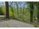 Backyard features concrete patio and a lush green forest beyond at 4815 Oak Park Rd, Raleigh, NC 27612