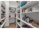 Walk-in pantry features white shelves, wooden countertops, and ample storage space at 482 Emily Ln, Chapel Hill, NC 27516