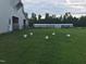 Exterior of white barn with chickens roaming freely on the grass, greenhouse in back at 97 Bailey Rd, Coats, NC 27521