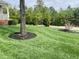 Beautifully landscaped front yard with a tree surrounded by dark mulch at 10 Sapphire Dr, Sanford, NC 27332