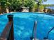 Above-ground swimming pool with crystal-clear blue water surrounded by lush greenery at 10 Sapphire Dr, Sanford, NC 27332