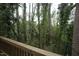 View of lush backyard and foliage at 1523 Yarborough Park Drive, Raleigh, NC 27604