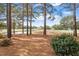 Scenic golf course view with mature trees and lush landscaping surrounding a tranquil pond at 1525 Marshall Farm St, Wake Forest, NC 27587