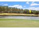 Beautiful golf course scenery featuring a green, water hazard, and a flag waving in the breeze at 1525 Marshall Farm St, Wake Forest, NC 27587