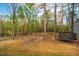 View of wooded backyard with dry grass, trees, and small trampoline at 215 Bonterra Way, Chapel Hill, NC 27516