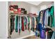Walk-in closet with clothes hanging on rods and shelves with boxes and accessories for optimal storage at 45 Summersweet Ln, Chapel Hill, NC 27516