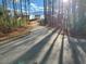 Long driveway leading to a home, promising privacy and seclusion amidst the natural beauty of surrounding trees at 841 Kenyon Spring Dr, Zebulon, NC 27597
