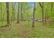 Wooded backyard with a home featuring a covered patio, offering a private, nature-filled setting at 1332 Stallings Rd, Chapel Hill, NC 27516