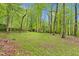 Spacious backyard with mature trees and lush greenery, providing a serene and private outdoor space at 1332 Stallings Rd, Chapel Hill, NC 27516