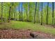 Backyard featuring mature tree line and lush green grass at 1332 Stallings Rd, Chapel Hill, NC 27516