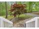 Inviting front yard with a red maple tree, stone pathway, and steps leading to a charming wooded property at 1332 Stallings Rd, Chapel Hill, NC 27516
