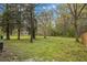 Expansive backyard featuring lush greenery and mature trees, perfect for outdoor enjoyment at 226 1St St, Henderson, NC 27536