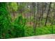 A house features a backyard with lush green vegetation and tall trees in a natural forest setting at 308 Cedarwood Ln, Carrboro, NC 27510