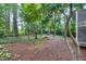 Image of a wooded backyard with lush greenery and a pine-needle-covered ground at 3421 E Jameson Rd, Raleigh, NC 27604