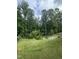 Expansive backyard featuring lush lawn, mature trees, and a tranquil setting for relaxation and outdoor activities at 420 Cahors Trl, Holly Springs, NC 27540