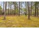 Tranquil backyard view showcasing a home surrounded by tall trees and natural foliage at 537 Chatham Dr, Chapel Hill, NC 27516