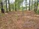 Wooded backyard with fallen leaves and bare trees at 1033 Silas Moore Rd, Benson, NC 27504