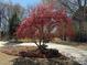Lovely front yard featuring a brilliant red maple tree, landscaped mulch bed, and an inviting driveway at 1117 Country Brooke Dr, Raleigh, NC 27603