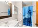 Bathroom features vanity, mirror, toilet and shower with dolphin shower curtain at 116 Marlowe Court Ct, Carrboro, NC 27510