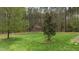 Spacious backyard with mature trees providing shade and privacy, creating a serene and inviting outdoor space at 125 Dartmoor Ln, Raleigh, NC 27614