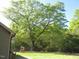 Lush backyard with a large tree, patio area, play set, and green lawn, ideal for recreation at 126 Creedmoor Rd, Stem, NC 27581
