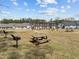 Enjoy the community area with picnic tables, grills, and a pergola, perfect for outdoor gatherings at 486 Autumn Rain St, Cary, NC 27519