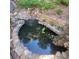 Close-up of a stone-lined pond with clear water and colorful koi fish swimming beneath at 502 Willowmere Ct, Cary, NC 27513