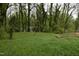 Expansive backyard featuring lush green grass and mature trees at 537 Homeland Ave, Durham, NC 27707