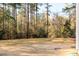 Large backyard with trees, and lawn at 68 Tee Time Ter, Benson, NC 27504
