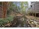 Scenic view of pond surrounded by lush bamboo at 130 E Longview St # Apt K, Chapel Hill, NC 27516