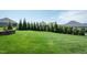 Spacious backyard featuring a well-maintained lawn with mature trees and landscaping at 135 Brocks Trce, Burlington, NC 27215