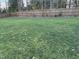 Large backyard featuring a well-maintained lawn and a wooden fence, offering privacy and space at 1404 Rhea Dr, Garner, NC 27529