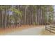 Scenic driveway leading to the home, framed by tall pine trees and a classic wooden fence at 2411 Lynch Store Rd, Mebane, NC 27302