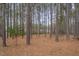 Tranquil view of the house framed by tall pine trees that offer privacy at 2411 Lynch Store Rd, Mebane, NC 27302
