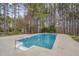 Backyard pool surrounded by trees with a concrete deck and a diving board, creating a private oasis at 2411 Lynch Store Rd, Mebane, NC 27302