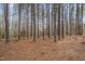 The tall pine trees create a peaceful and secluded atmosphere on the property at 2411 Lynch Store Rd, Mebane, NC 27302