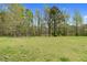 Expansive grassy backyard surrounded by mature trees, providing privacy and natural beauty at 2651 Bennett Rd, Creedmoor, NC 27522