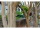 Exterior view of the property's mature trees and landscaping, adding character and shade at 306 Perry St, Raleigh, NC 27608