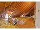 Unfinished attic space showing insulation and wooden beams, providing an opportunity for customization and expansion at 36 Wellspring Cir, Clayton, NC 27527