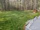 Lush green backyard offers a peaceful retreat, complemented by a spacious deck and a charming shed in a wooded setting at 707 Sinai Cir, Hillsborough, NC 27278