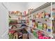 Well-stocked walk-in pantry with ample shelving for organization and storage at 1005 Brookview Dr, Elon, NC 27244