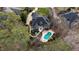 Aerial view of a large home with a pool, hot tub, and patio, surrounded by lush trees at 111 San Juan Dr, Chapel Hill, NC 27514