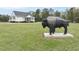Beautiful one-story home and a buffalo statue, on an expansive manicured lawn at 184 Mort Harris Rd, Louisburg, NC 27549