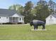 Beautiful home and a buffalo statue, on an expansive manicured lawn at 184 Mort Harris Rd, Louisburg, NC 27549